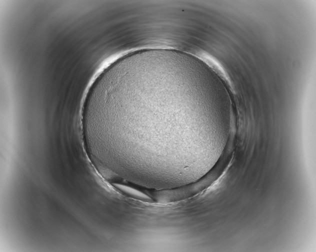 X0000087061192200705021210