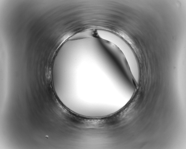 X0000087061193200705021210