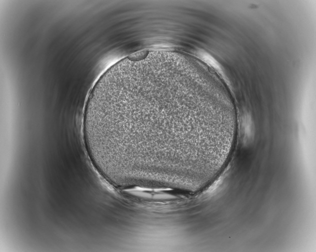 X0000087061194200705021210