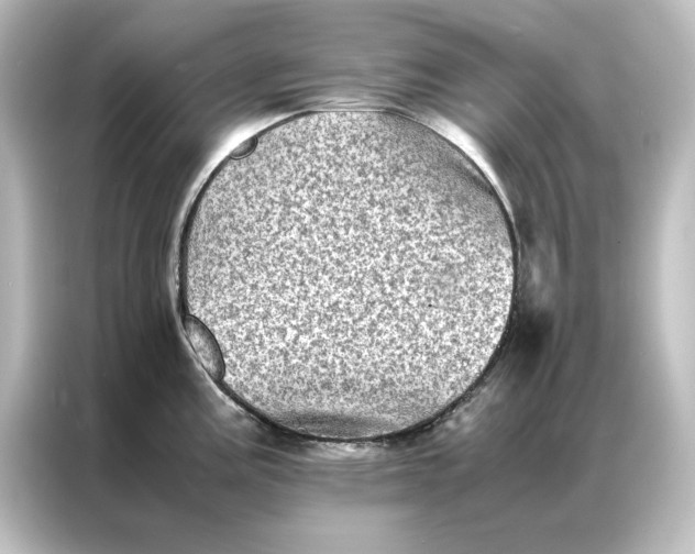 X0000087061195200705021210