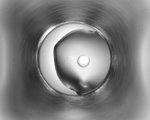 X0000087061196200705021210