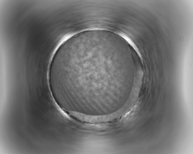 X0000087061197200705021210