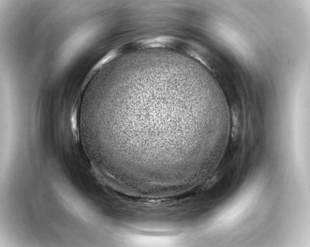 X0000087061198200705021210