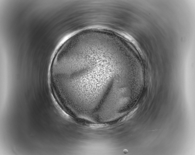 X0000087061199200705021210