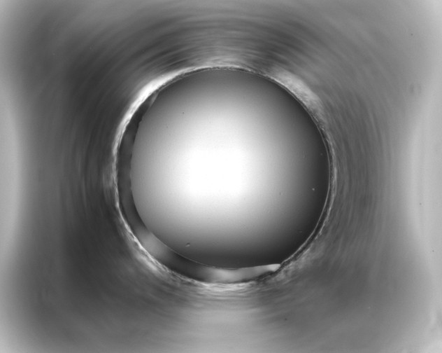 X0000087061200200705021210