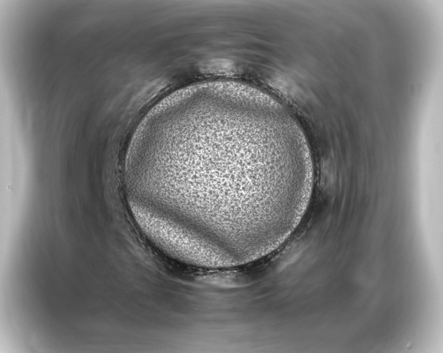 X0000087061201200705021210