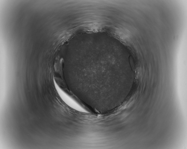 X0000087061202200705021210