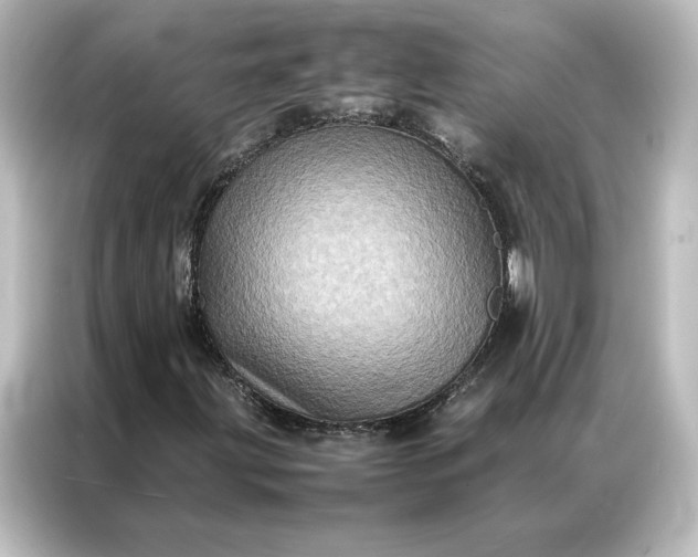 X0000087061203200705021210