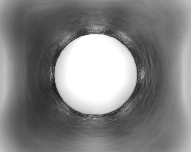 X0000087061204200705021210