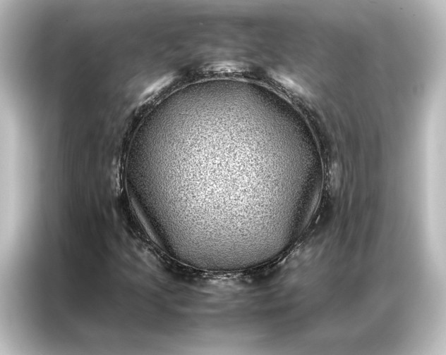 X0000087061205200705021210