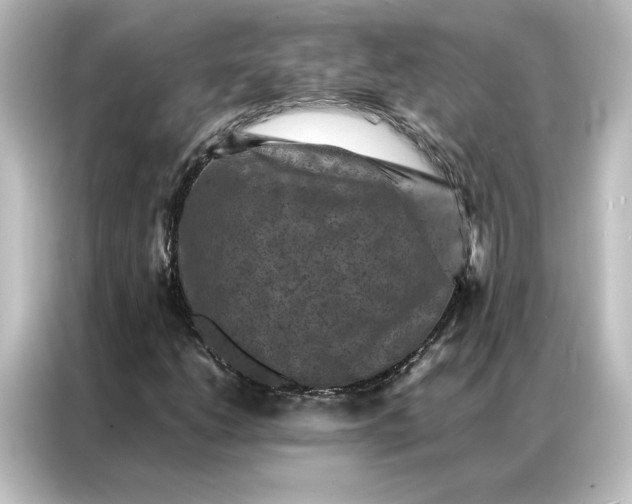 X0000087061206200705021210