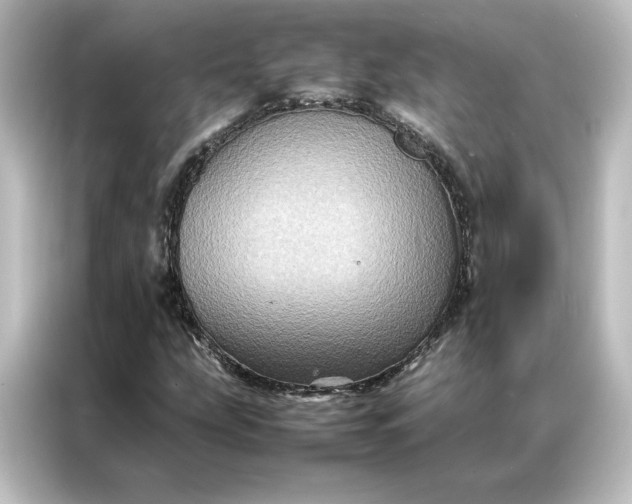 X0000087061207200705021210