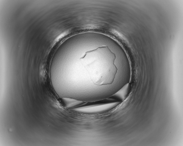 X0000087061210200705021210