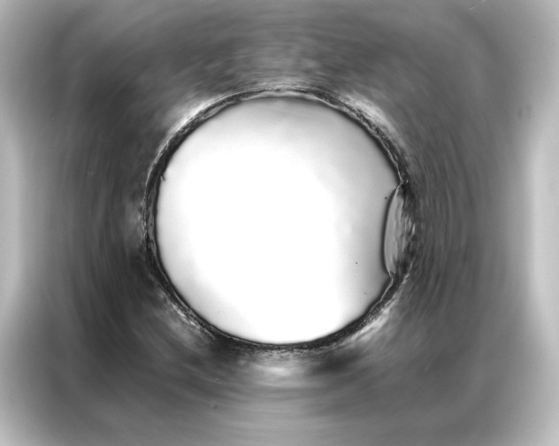 X0000087061212200705021210