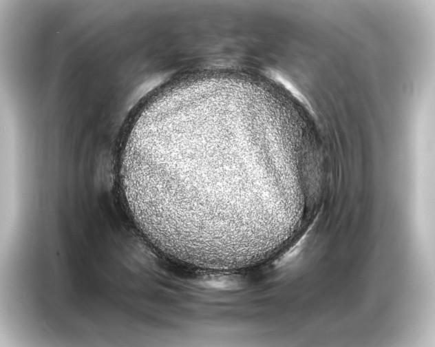 X0000087061213200705021210