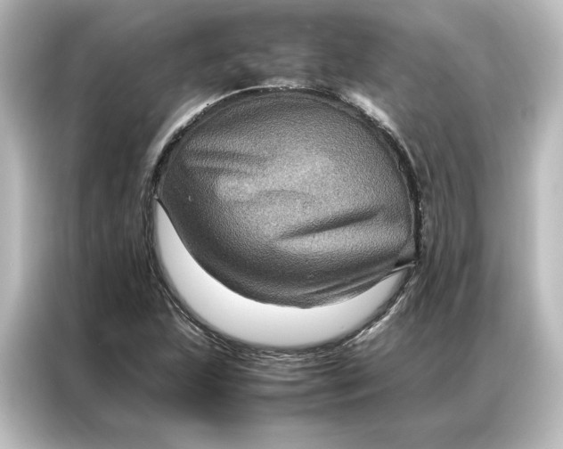 X0000087061215200705021210