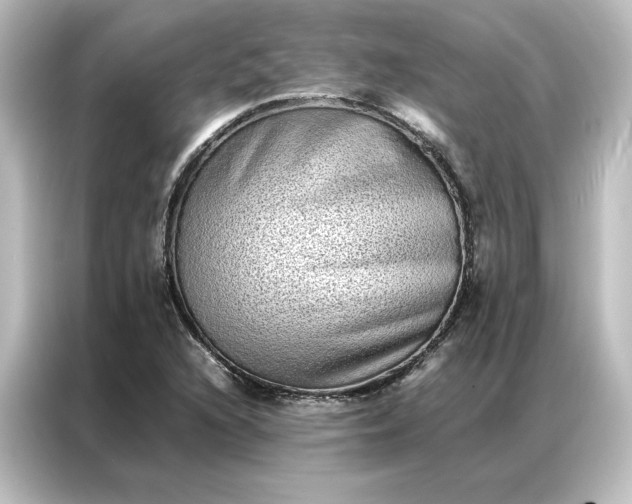 X0000087061216200705021210