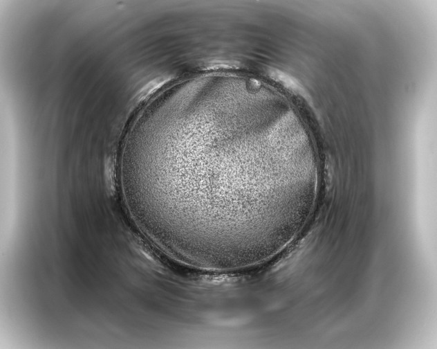 X0000087061217200705021210