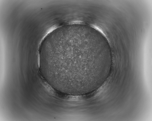 X0000087061219200705021210