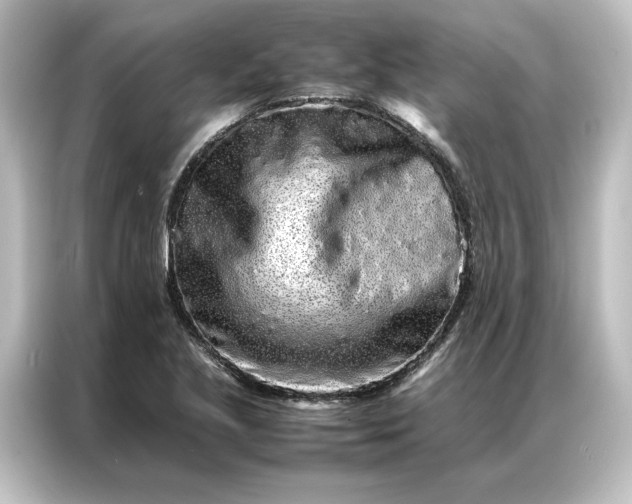 X0000087061221200705021210