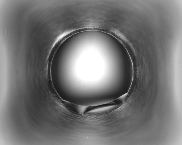 X0000087061222200705021210