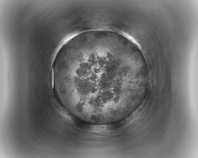 X0000087061223200705021210