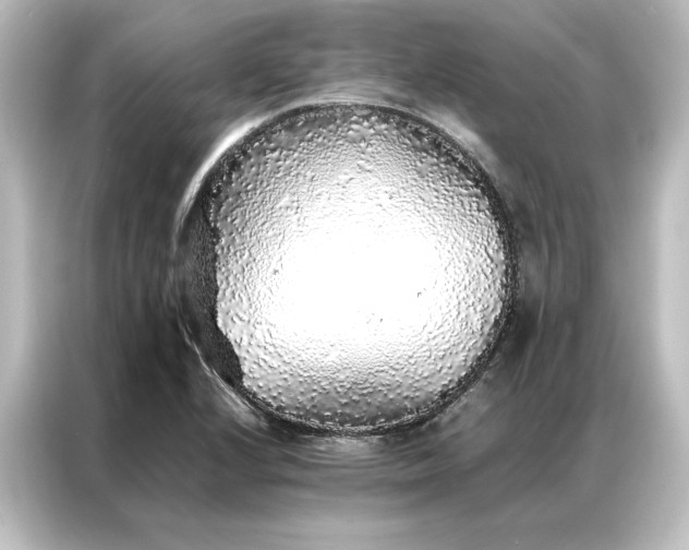 X0000087061224200705021210