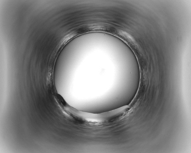 X0000087061225200705021210