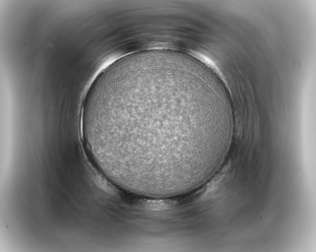 X0000087061227200705021210