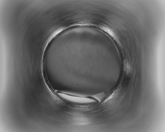 X0000087061229200705021210