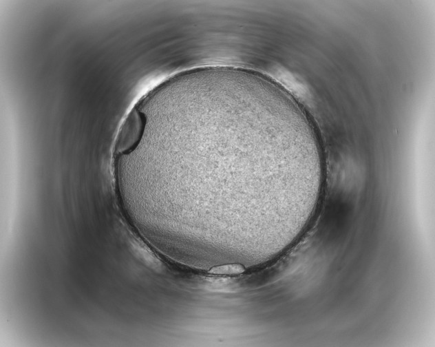 X0000087061230200705021210