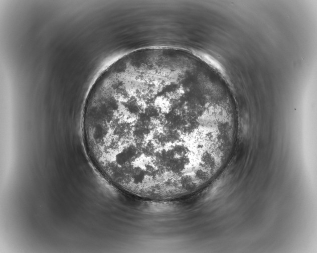 X0000087061231200705021210