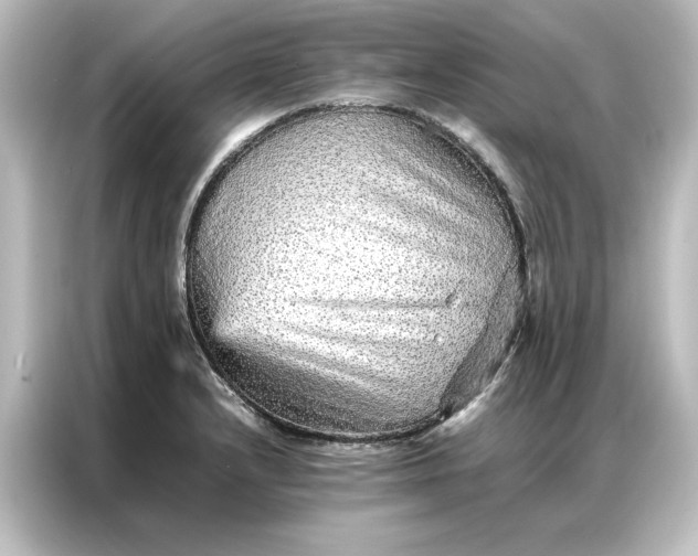 X0000087061232200705021210