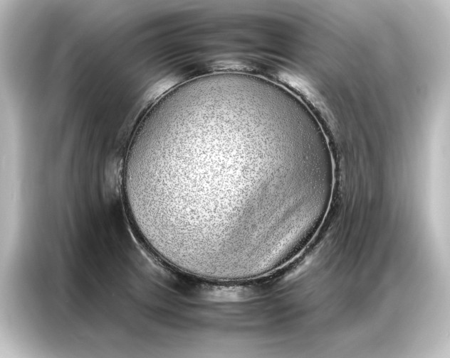 X0000087061233200705021210