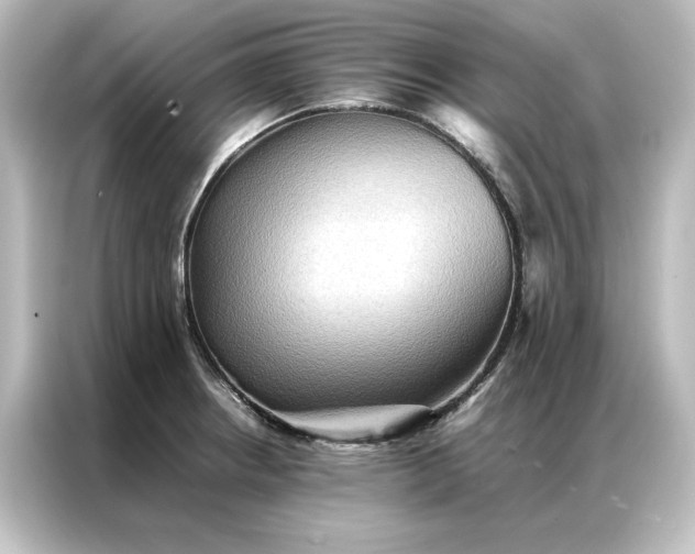 X0000087061234200705021210