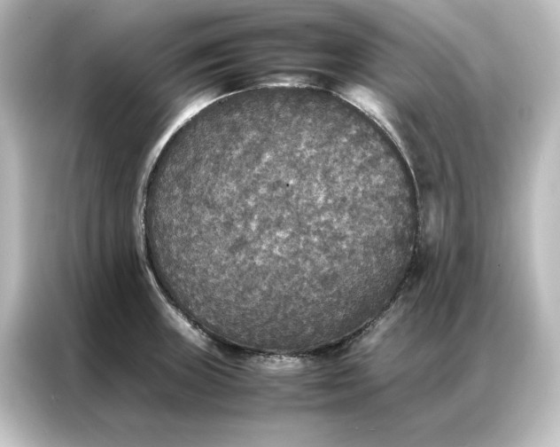 X0000087061235200705021210