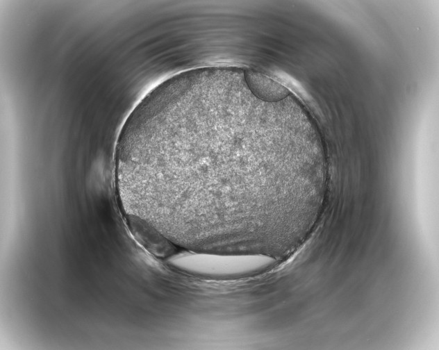 X0000087061236200705021210