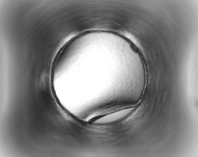 X0000087061237200705021210