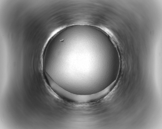 X0000087061238200705021210