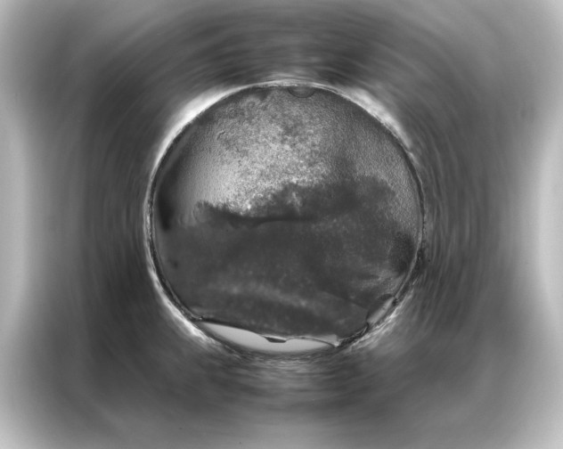 X0000087061239200705021210