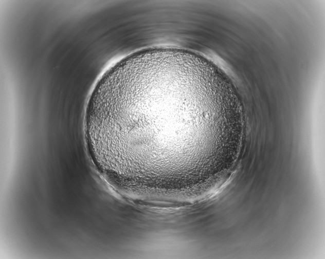 X0000087061240200705021210