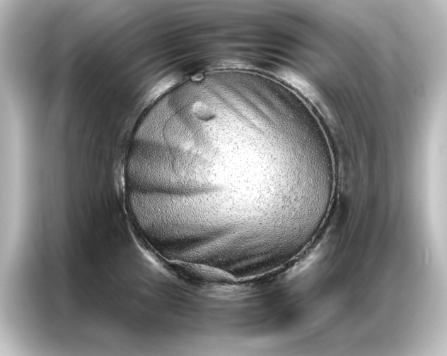 X0000087061241200705021210