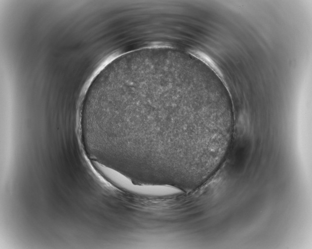 X0000087061243200705021210