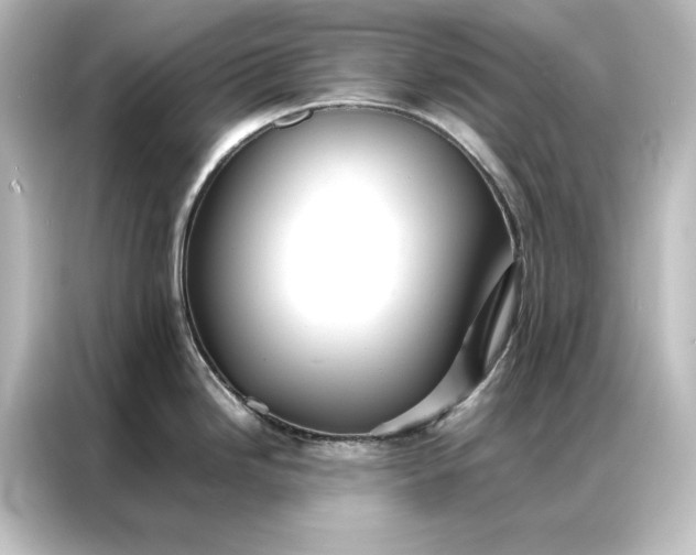 X0000087061246200705021210