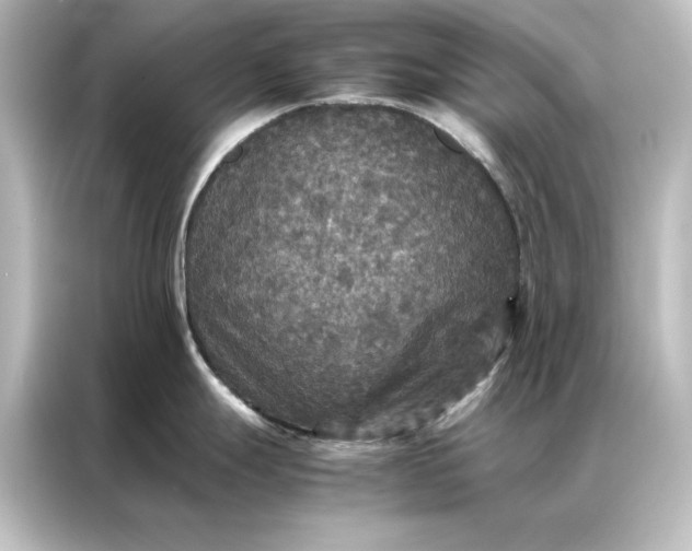 X0000087061247200705021210