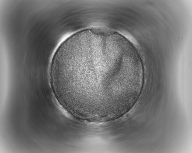 X0000087061248200705021210