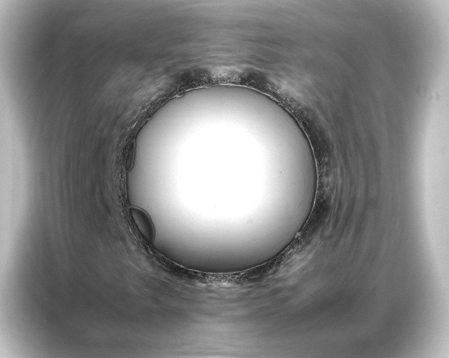 X0000087061249200705021210