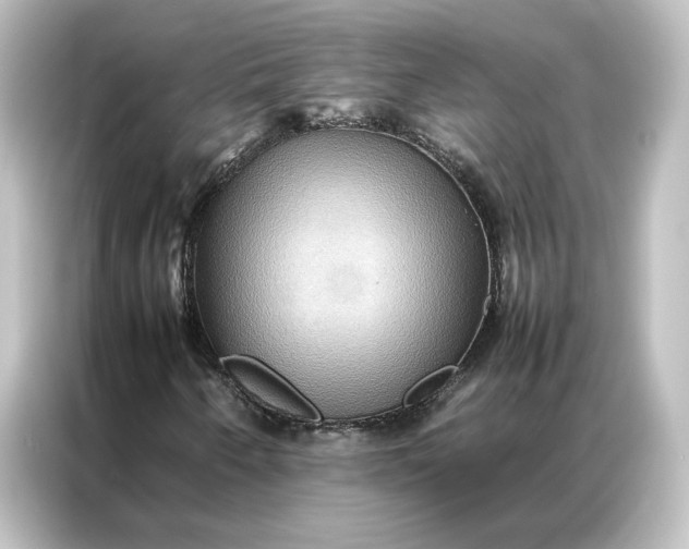 X0000087061250200705021210