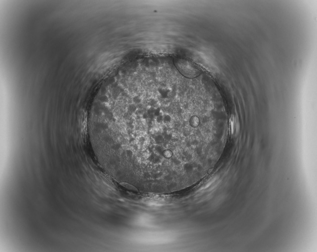 X0000087061251200705021210