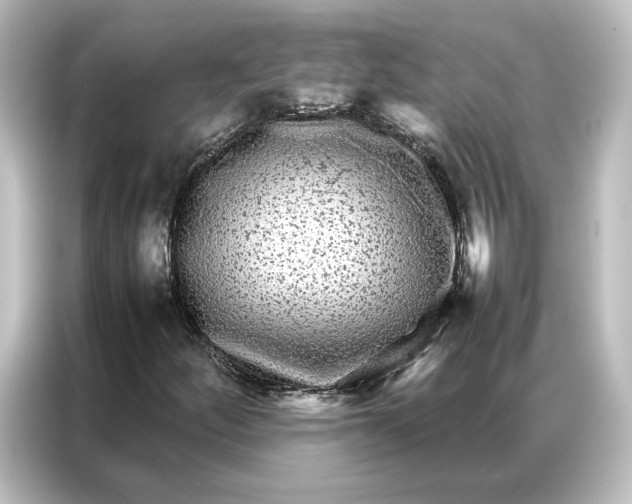 X0000087061252200705021210